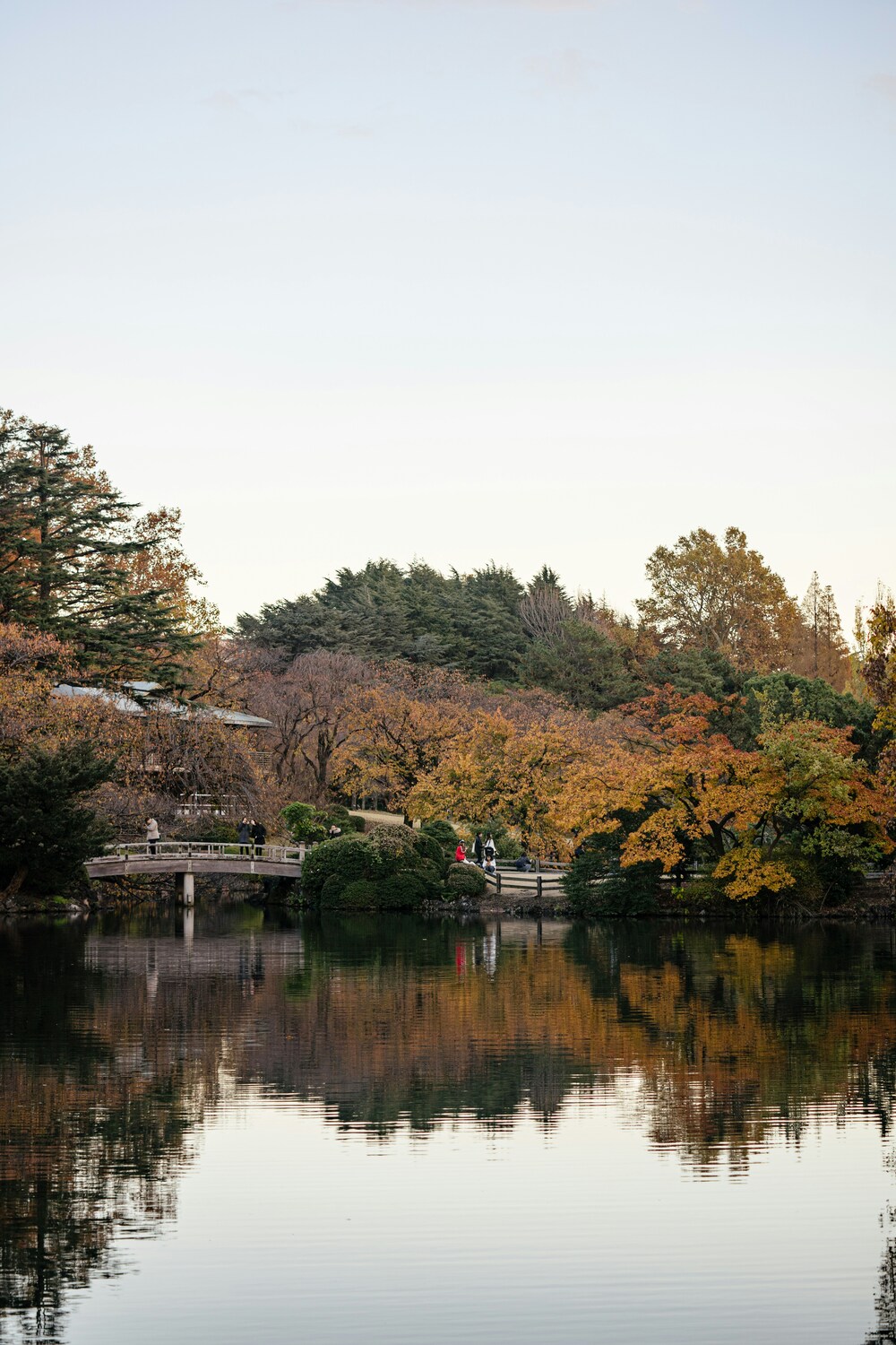 foliage koyo autunno giappone blog matthma experience travel designer