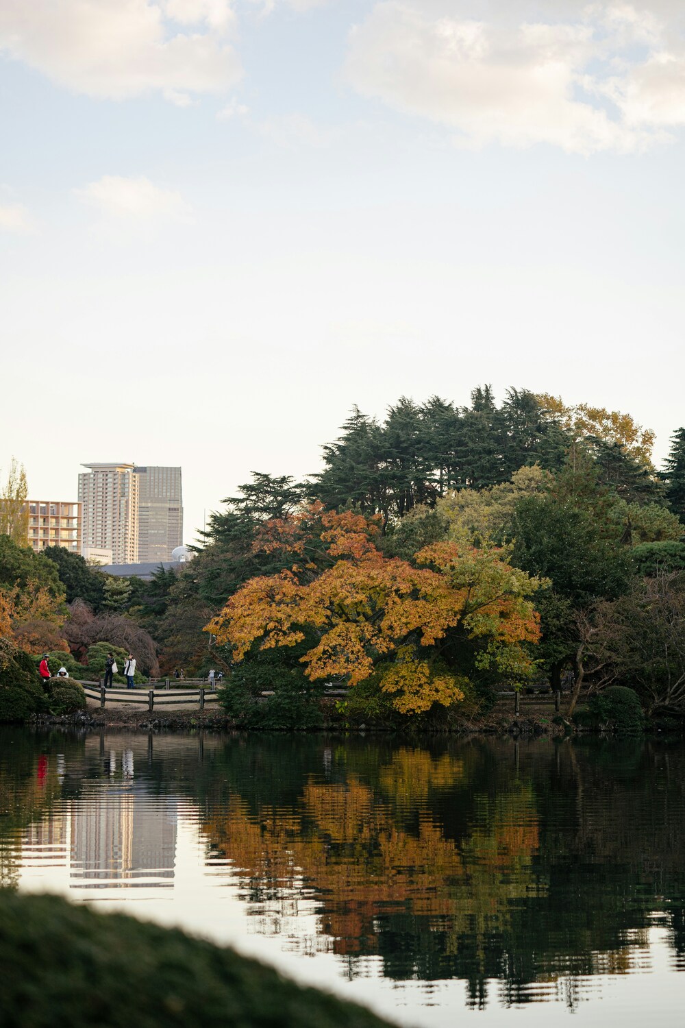 foliage koyo autunno giappone blog matthma experience travel designer