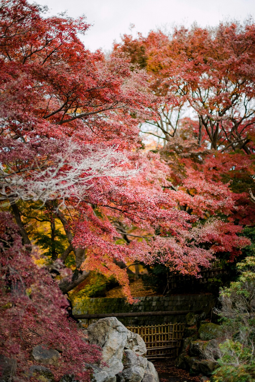 foliage koyo autunno giappone blog matthma experience travel designer