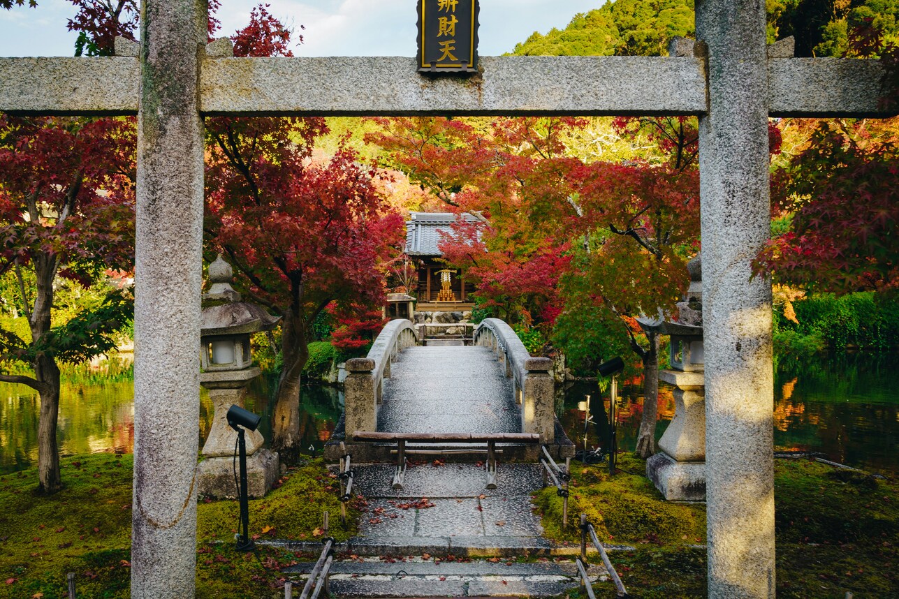 foliage koyo autunno giappone blog matthma experience travel designer
