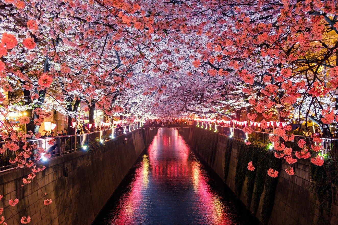 foliage koyo autunno giappone blog matthma experience travel designer