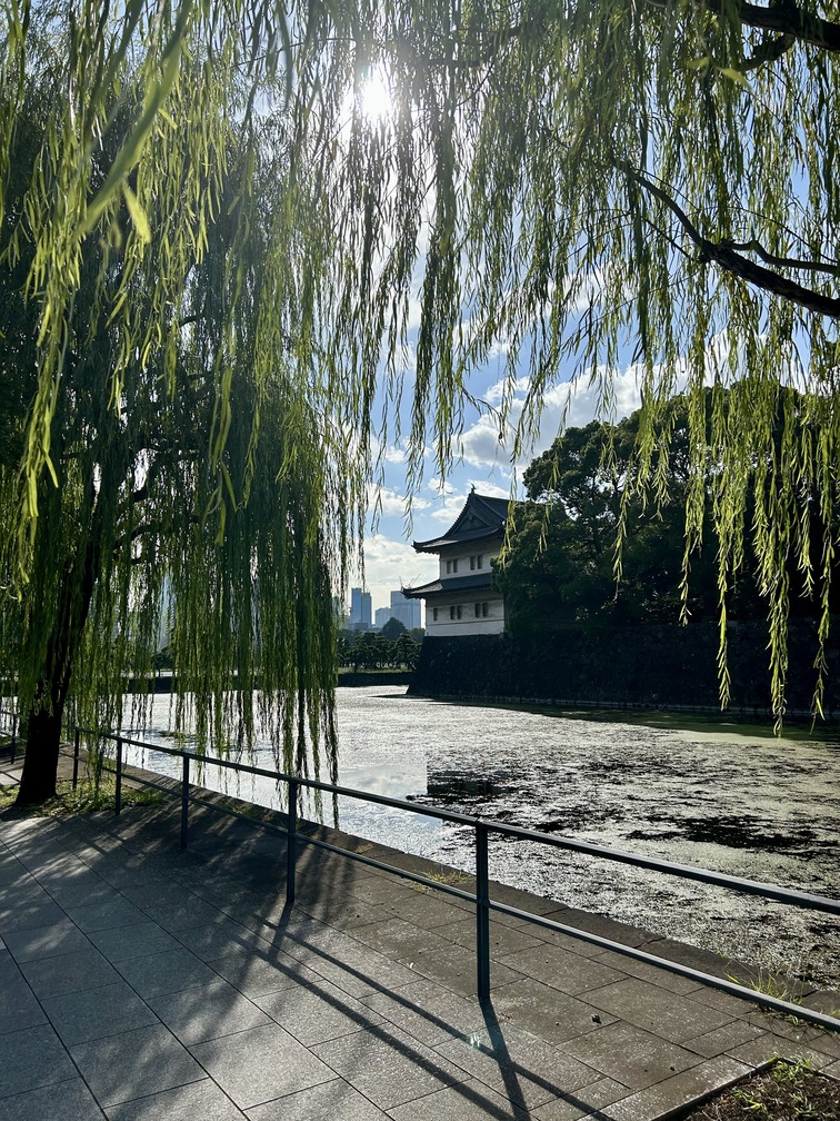 Castello tokyo destinazioni matthma experience travel designer