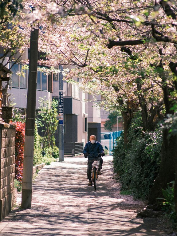 Giappone-hanami-fioritura-ciliegi-matthma-experience-travel-designer-12