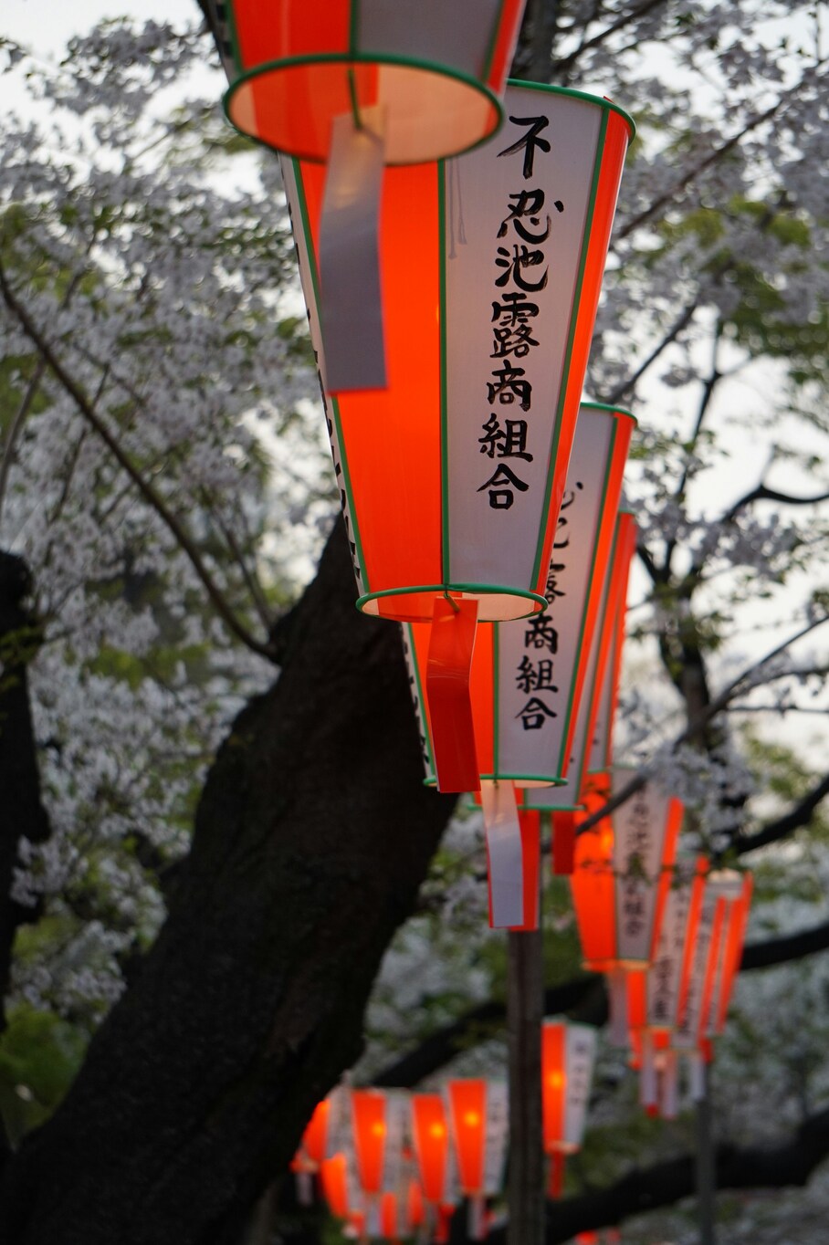 Giappone-hanami-fioritura-ciliegi-matthma-experience-travel-designer-2