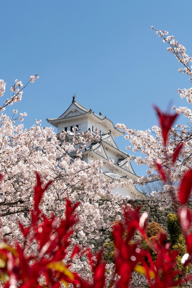 Giappone-hanami-fioritura-ciliegi-matthma-experience-travel-designer-6