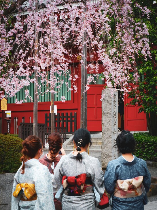 Giappone-hanami-fioritura-ciliegi-matthma-experience-travel-designer-8