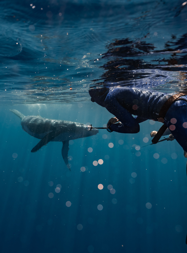 polinesia-francese-destinazioni-matthma-experience-traveller-freediver