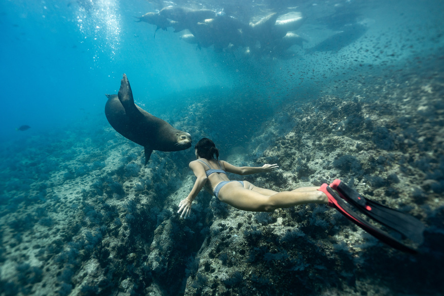 spedizioni-2026-expedition-baja-california-cover-matthma-experience-traveller-freediver